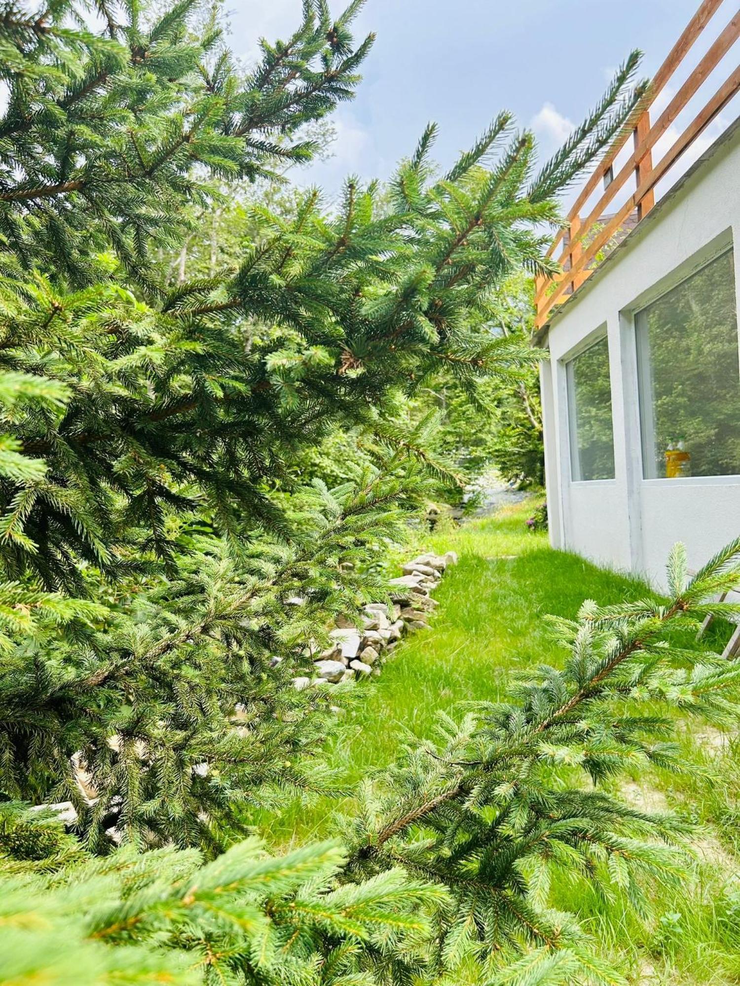 Casa Ursu Lodge
