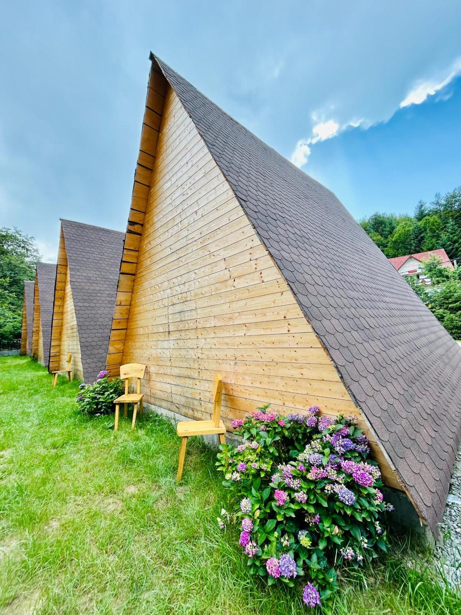 Lodge Casa Ursu *