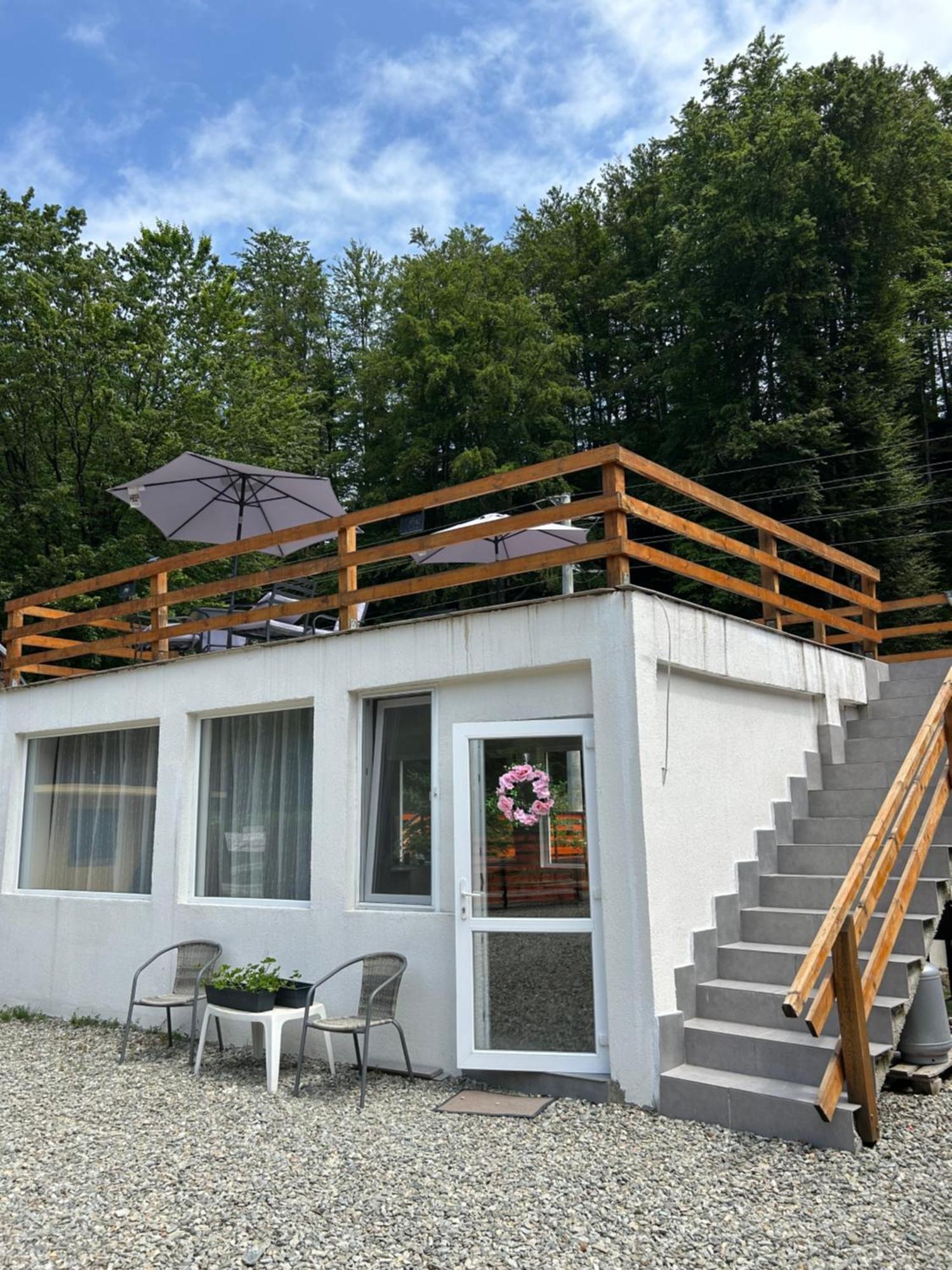 Lodge Casa Ursu Cîrţişoara